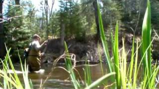 preview picture of video 'Caddis Fishing On The AuSable River'