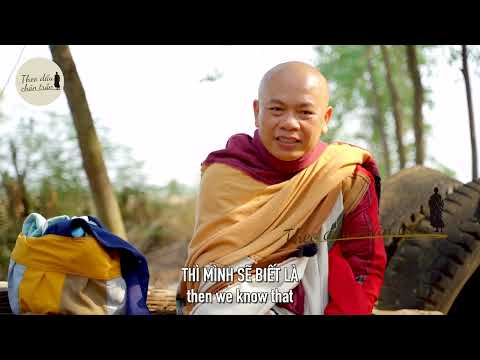#3 THEO DẤU CHÂN TRẦN | Phỏng vấn Sư Minh Đạo | Sư Minh Đạo chia sẻ về tăng đoàn