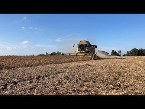 ŽNĚ 2021   SKLIZEŇ SOJI New Holland 8070 T6.175 Case MXU135