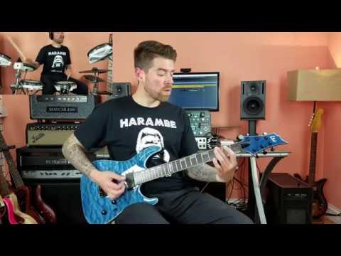 ESP LTD H 401QM Guitar Demo and Exclusive Limited Run Details