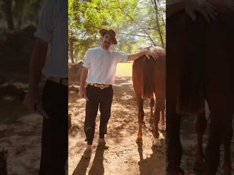Corcho Diaz invitando al Festival de Alejandra Santa Fe este sábado 6 de Diciembre