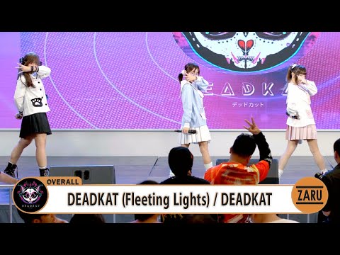 DEADKAT (Fleeting Lights) / DEADKAT [Overall] Catsonic Vol.02 :: 01 SEP 2024