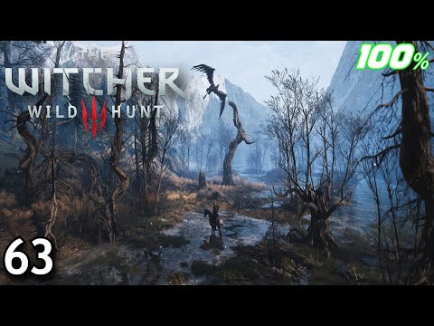 The Witcher 3: Wild Hunt 100% Death March Walkthrough Part 63 - Geralt the Champion of Champions