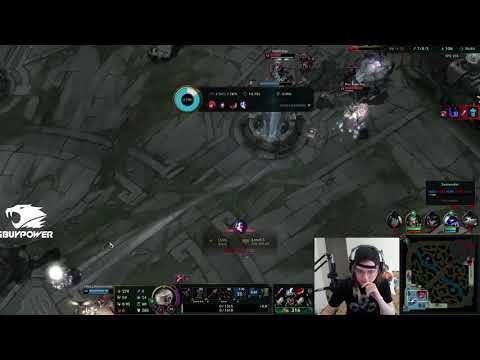 what is this zoe bug