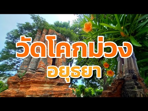 Wat Khok Muang