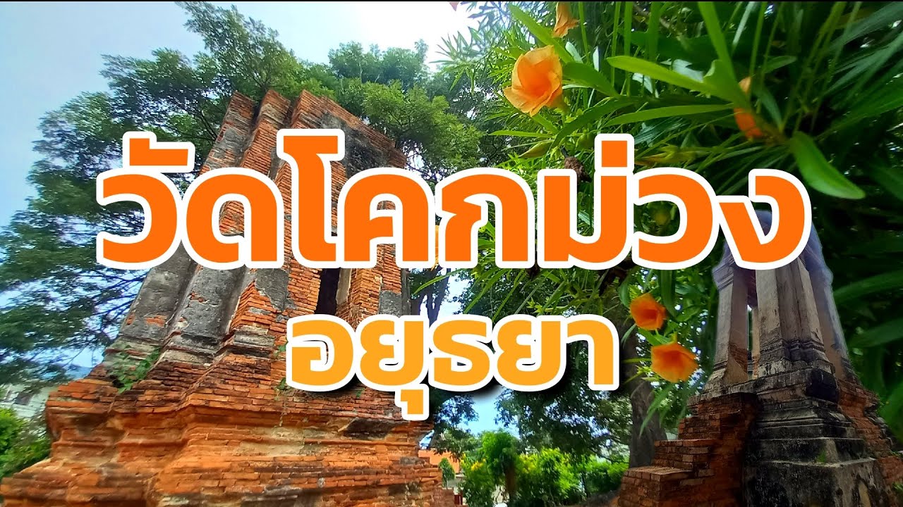 วัดโคกม่วง