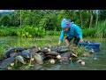 Gathering mud clams for cooking, repairing the livestock shed, taking the child to the doctor.