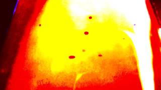 Animal Collective - Bees [HQ]