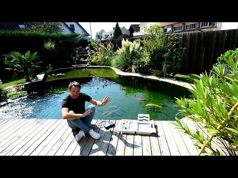 Modern Koi Blog #1358 - Water analysis at Matthias' koi pond