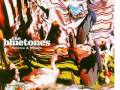 The Bluetones Basement Song