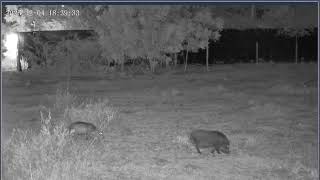 Thumbnail del capítulo