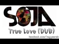 Just Like The Land - SOJA - True Love (Dub)