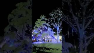 大佐サービスエリア