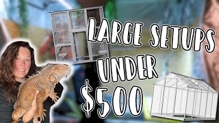 Budget Enclosures for BIG Reptiles 🦎 // 3 Alternatives Under $500
