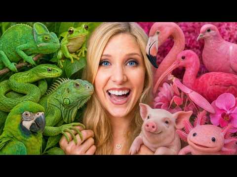 I Adopted Mystery Animals In One Color!