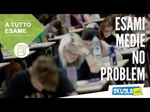 Esame terza media no problem