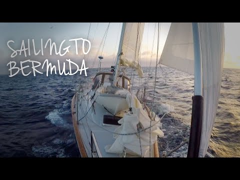 Just Pure Sailing To Bermuda 2021