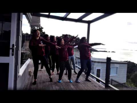 AIESEC Roll Call Auckland 1617