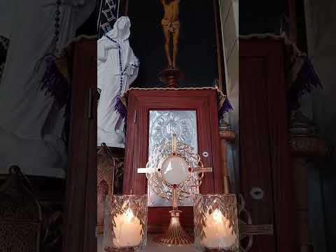Adoracion Al Santisimo Sagramento del Altar con el Padre Fabian Esteban Oliva. 22/08/26