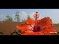 Nayanthara Love Bgm Idhu Kadhirvelan Kadhal Isai Kadhalan