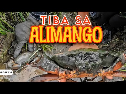 P2-Tiba sa Alimango - EP1060