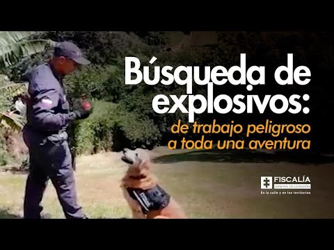 Búsqueda de explosivos: de trabajo peligroso a toda una aventura