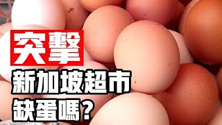 [問卦] 新加坡沒缺蛋？