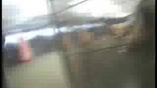 French Fries Frankfurt vs. Straight Forward