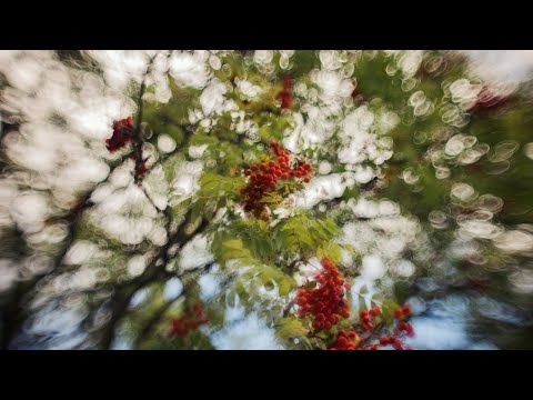 Helios 77M-4 Reversed Rear Element Test