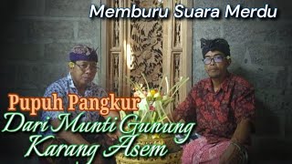 Download lagu PUPUH PANGKUR, Pendatang baru. @userdenbagus135 mp3