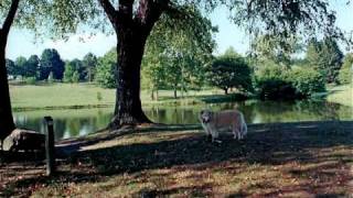 Download lagu SAMANTHA (1996-2010) mp3 Download lagu SAMANTHA (1996-2010) mp3