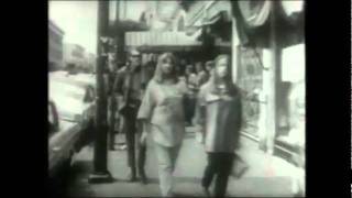 Mark Lindsay - Arizona