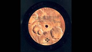 Hieroglyphic Being - Bird songs for Amelie