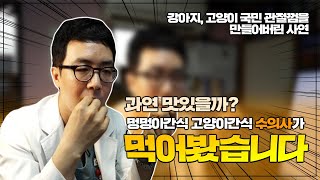 강아지 고양이 껌을 수의사가 먹어봤습니다 즐겁고 행복한 간식으로 먹는 관절영양제 간식껌의 탄생기!