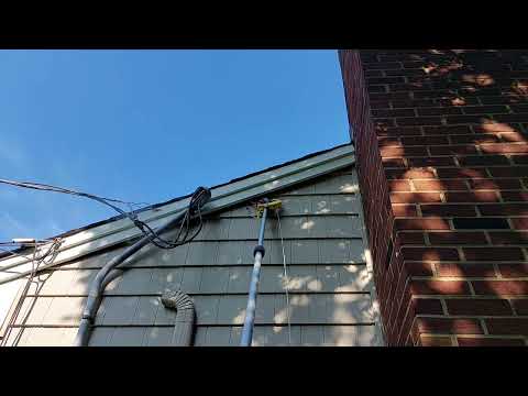 Spotted Some Carpenter Bees in the Fascia Board in Cranbury, NJ