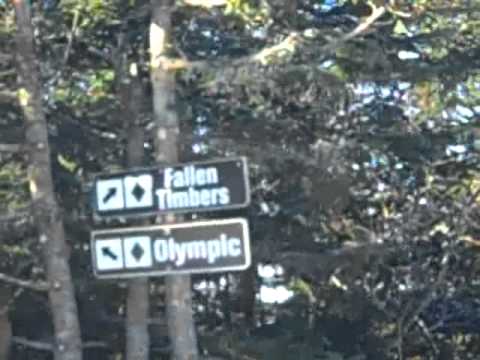 Skiing 2011 - Why they gotta be black diamonds.. racist