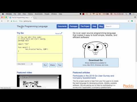 Modern Golang Programming Go with Databases in the Wild | packtpub com