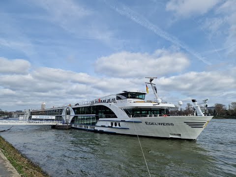 MS Edelweiss Full Video Tour