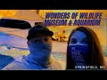 Discount Code For Wonders Of Wildlife National Museum And Aquarium