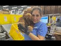 Amazon Fulfillment Center Pack Single