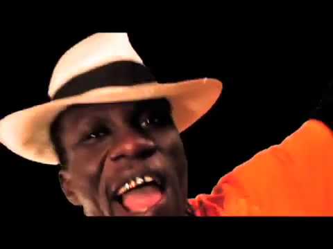 NITDOFF & BRAIN JULES  WE BACK