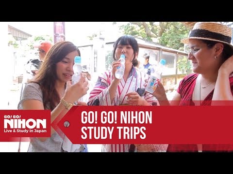 Go! Go! Nihon Study Trips for Japanese Language and Cultural Immersion in Japan