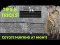 Denning season begins! | Thermal coyote hunting