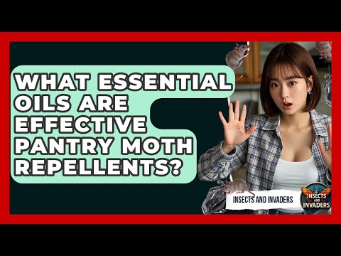 What Essential Oils Are Effective Pantry Moth Repellents? - Insects and Invaders