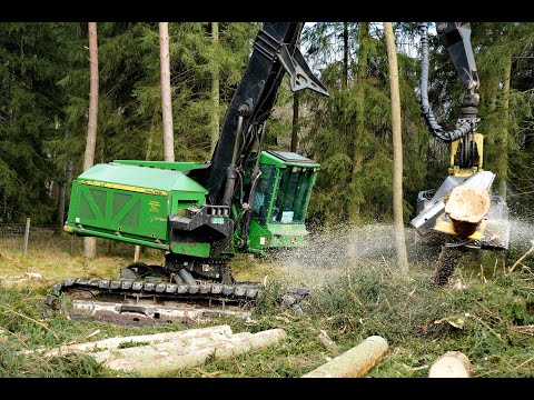 🌲4K| John Deere 909KH *American machine* • Big Harvester • big trees • Starkholz • Loggingvideo🌲