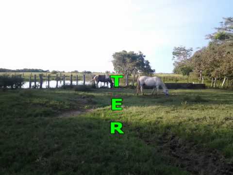 Karaoke Pasao Mañana - Jorge Guerrero