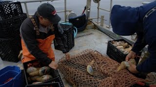 preview picture of video 'How Storm-water Is Threatening the Puget Sound’s Fragile Ecosystem'