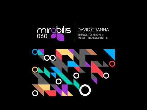 David Granha - The Healing Brunette(Original Mix) Mirabilis Records