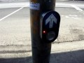 Melbourne S Traffic Light