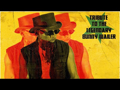 PicStitch and the Reggaestra - Don Dadda  (Official Music Video)